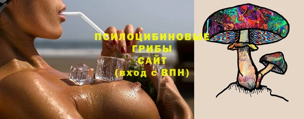 стаф Абдулино