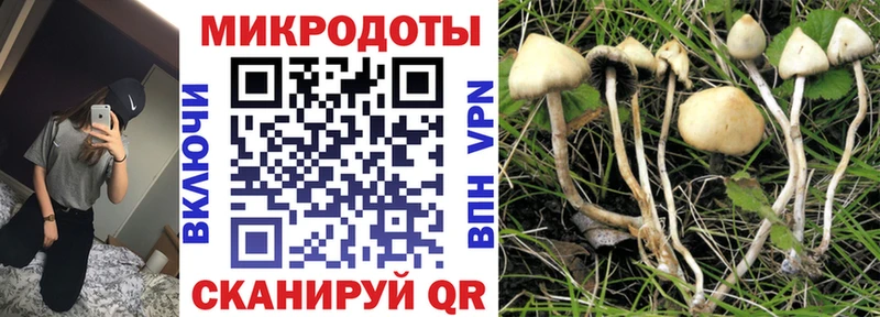 Псилоцибиновые грибы Psilocybine cubensis  МЕГА как войти  Анадырь 