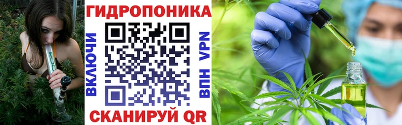 Бошки марихуана OG Kush  Анадырь 